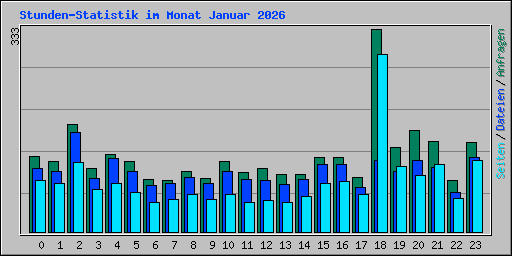 Stunden-Statistik im Monat Januar 2026